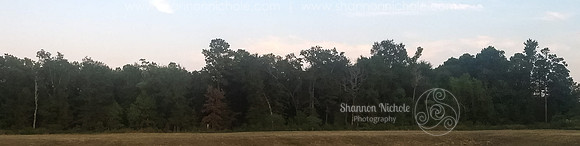 IMG_20190914_192153743