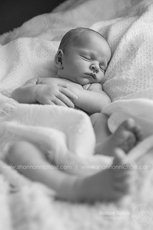 2015-jace-davis-29