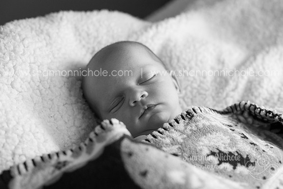 2015-jace-davis-2