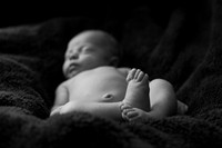 IMG_8731