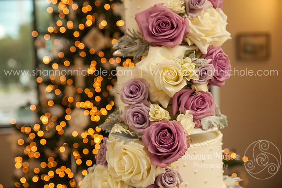 2015-Shannon-Nichole-Photography-43