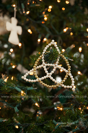 2015-Shannon-Nichole-Photography-46