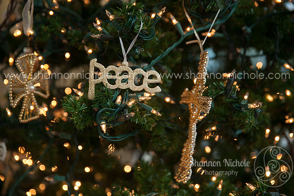 2015-Shannon-Nichole-Photography-45