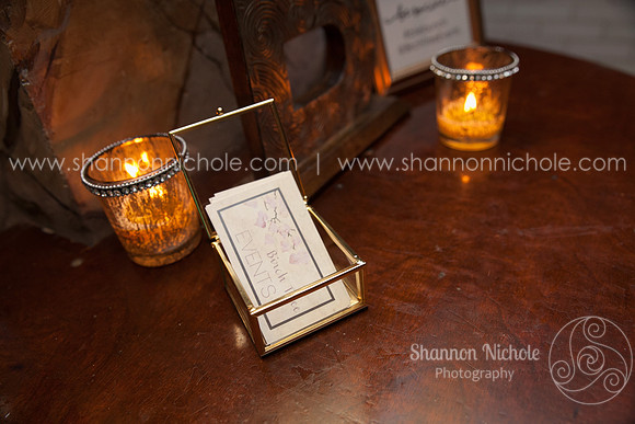 2016-birch-tree-event-launch-SNP-91
