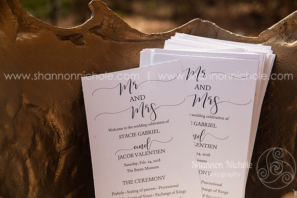 _MG_7517