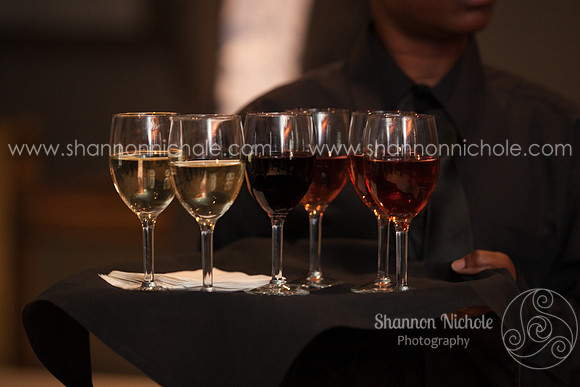2015-Crystal-ballroom-Shannon-Nichole-Photography-34