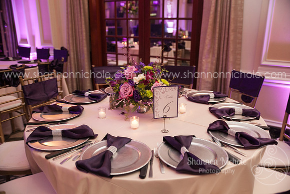2015-Crystal-ballroom-Shannon-Nichole-Photography-21