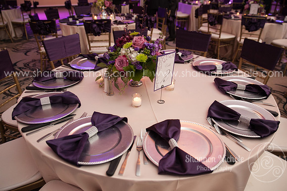 2015-Crystal-ballroom-Shannon-Nichole-Photography-30