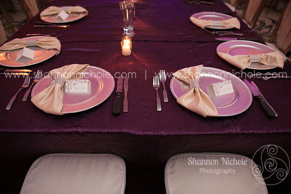 2015-Crystal-ballroom-Shannon-Nichole-Photography-27