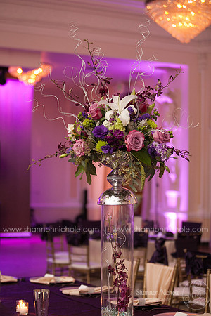 2015-Crystal-ballroom-Shannon-Nichole-Photography-33