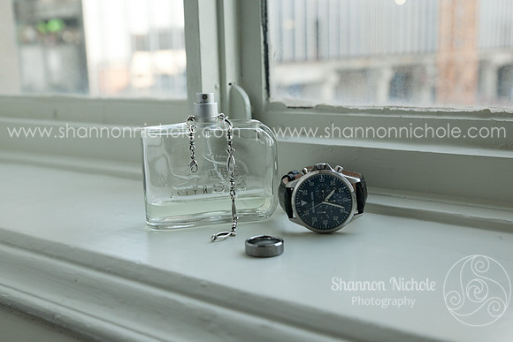 2015-Crystal-ballroom-Shannon-Nichole-Photography-1