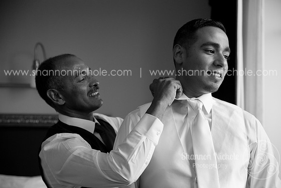 2015-Crystal-ballroom-Shannon-Nichole-Photography-4