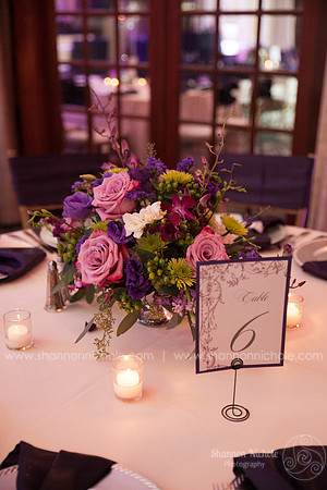 2015-Crystal-ballroom-Shannon-Nichole-Photography-22