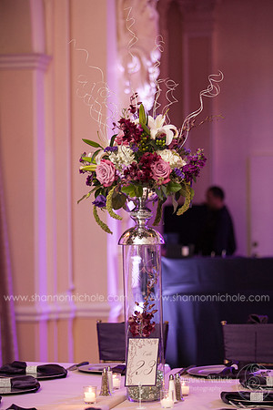 2015-Crystal-ballroom-Shannon-Nichole-Photography-31