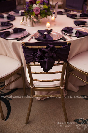 2015-Crystal-ballroom-Shannon-Nichole-Photography-29