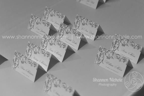 2015-Crystal-ballroom-Shannon-Nichole-Photography-37