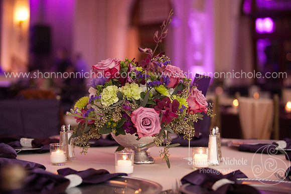 2015-Crystal-ballroom-Shannon-Nichole-Photography-32