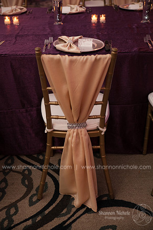 2015-Crystal-ballroom-Shannon-Nichole-Photography-28