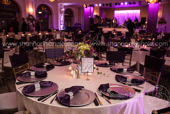 2015-Crystal-ballroom-Shannon-Nichole-Photography-23