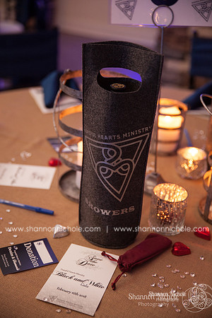 snp-hopeful-hearts-gala-2017-7