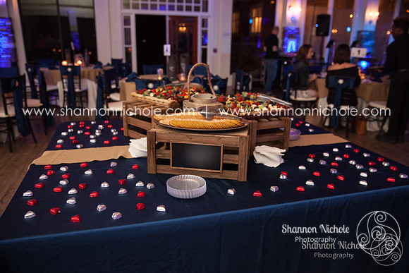 snp-hopeful-hearts-gala-2017-12