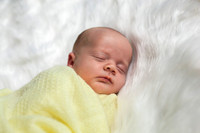 _MG_3327-Edit