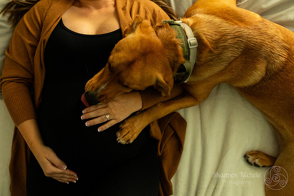 amanda-maternity-278