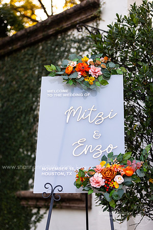 Mitzi-Enzo-168