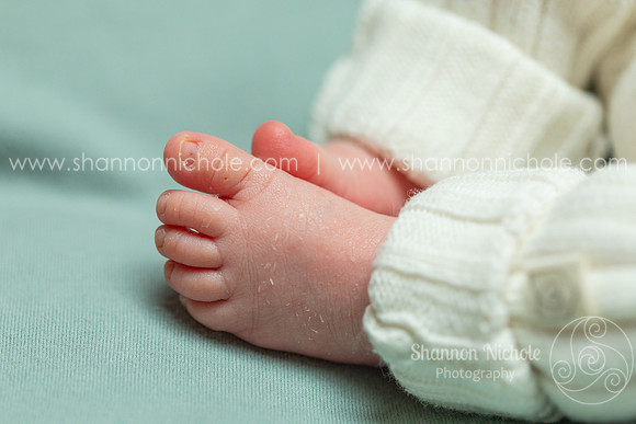 wayne-115
