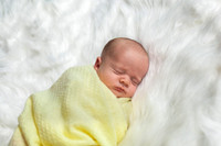 _MG_3322-Edit
